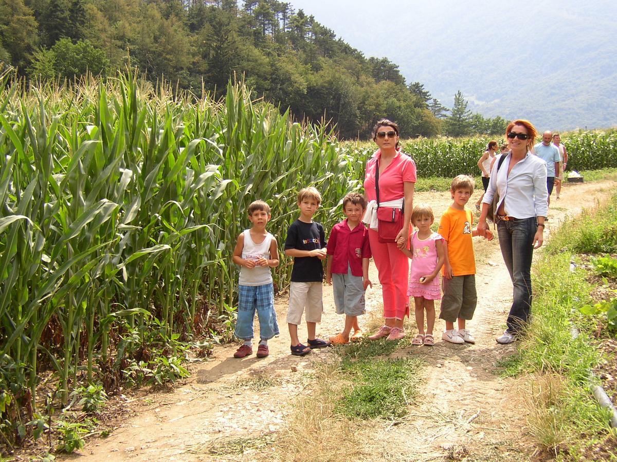Ca' Dei Boieti Casa Vacanze Ronzo-Chienis Dış mekan fotoğraf